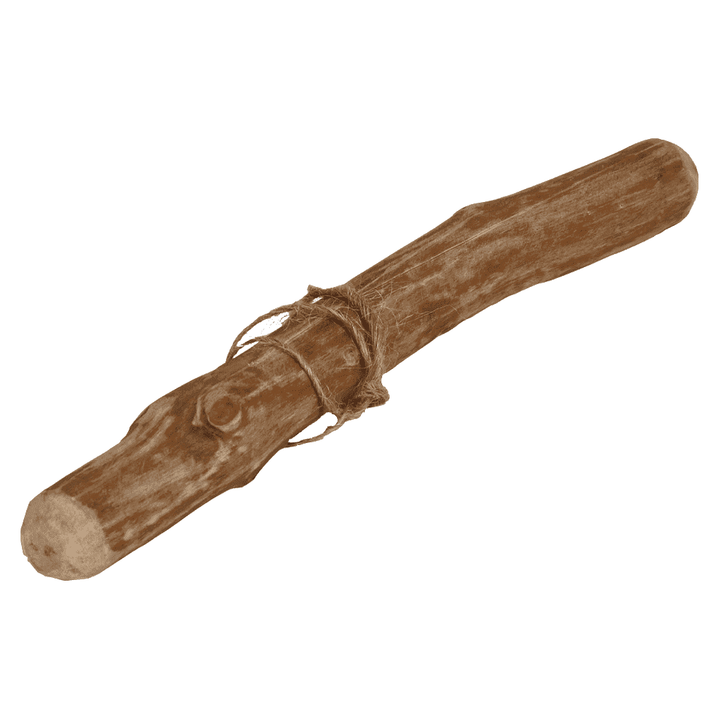Cinnstick 100% natural cinnamon wood chew for dogs