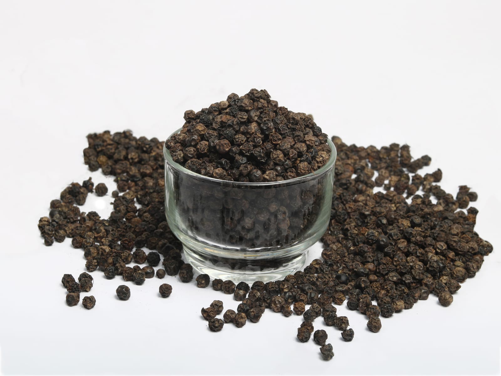 Pepper - Piper nigrum