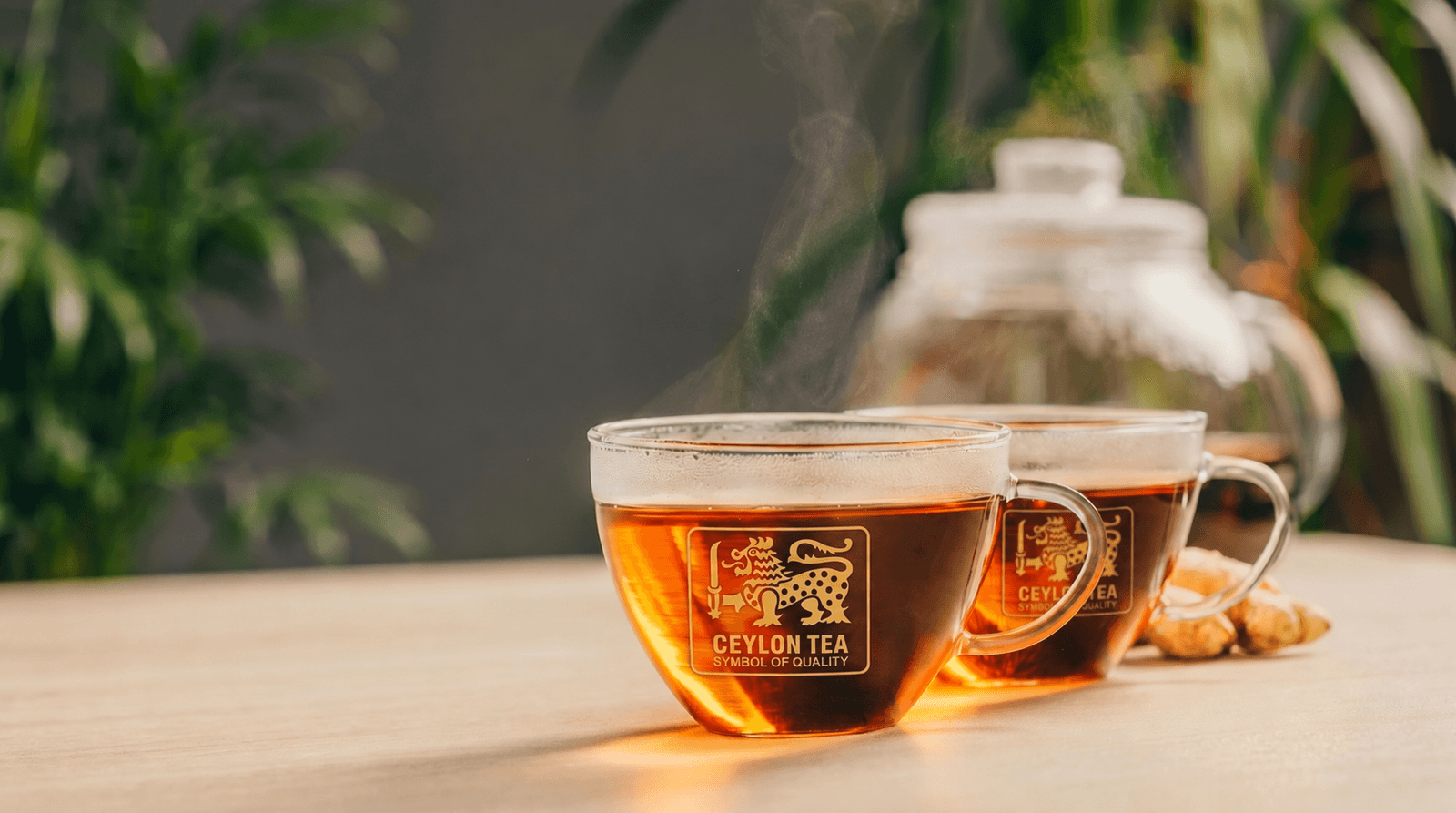 Amee Ceylon high-grown tea collection